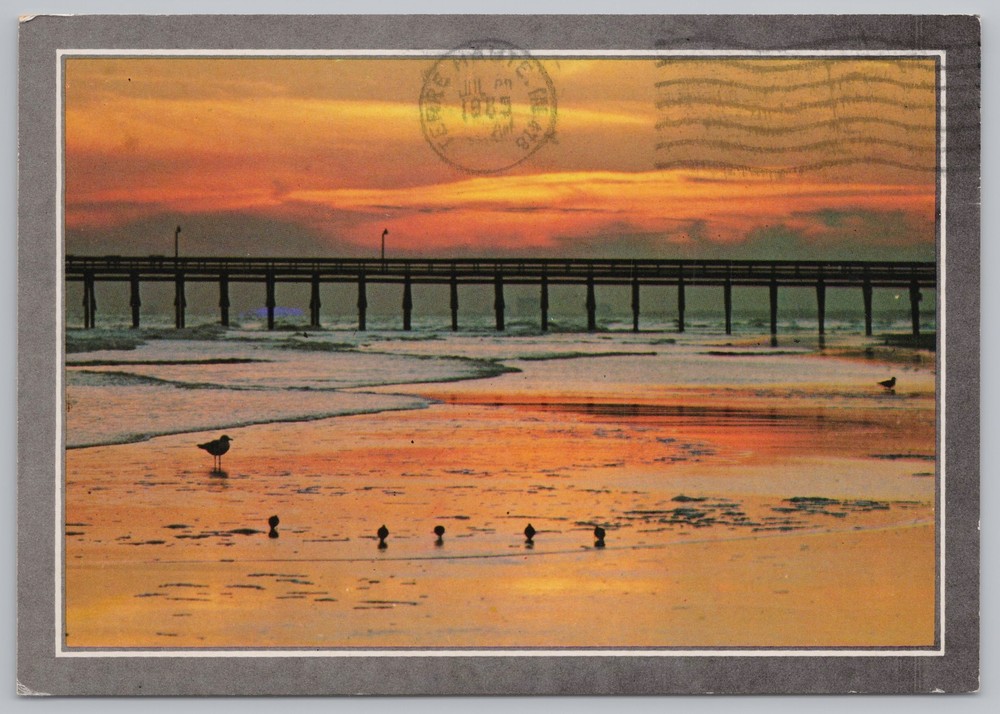 State View~Greetings From Myrtle Beach South Carolina~1985~Continental Postcard