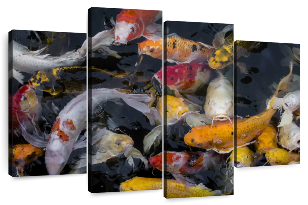 Abundant Koi Fish Wall Art