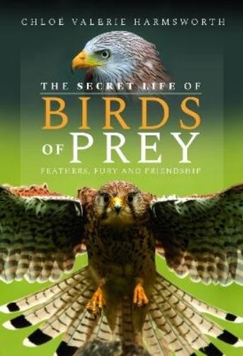 Chloé Valerie Harmsworth The Secret Life of Birds of Prey (Hardback)Another great item from Rarewaves USA | Free delivery!