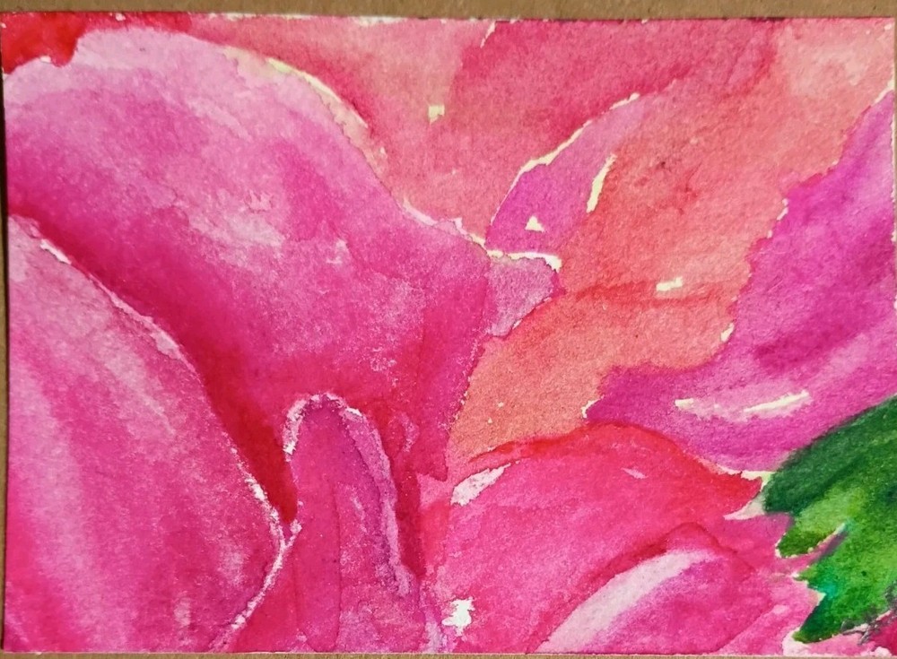 Original ACEO Pink Peony  Watercolor Painting by Sharon Foster - Flower