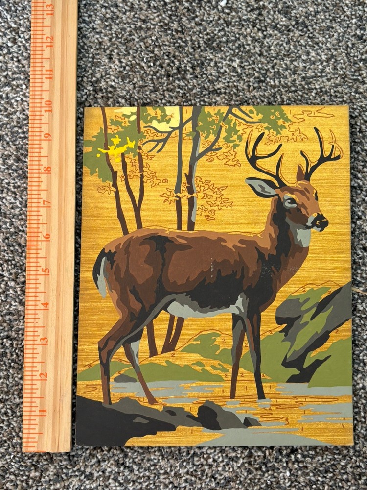 Vintage UNFINISHED Paint By Numbers MCM Young Buck AS IS 8x10”