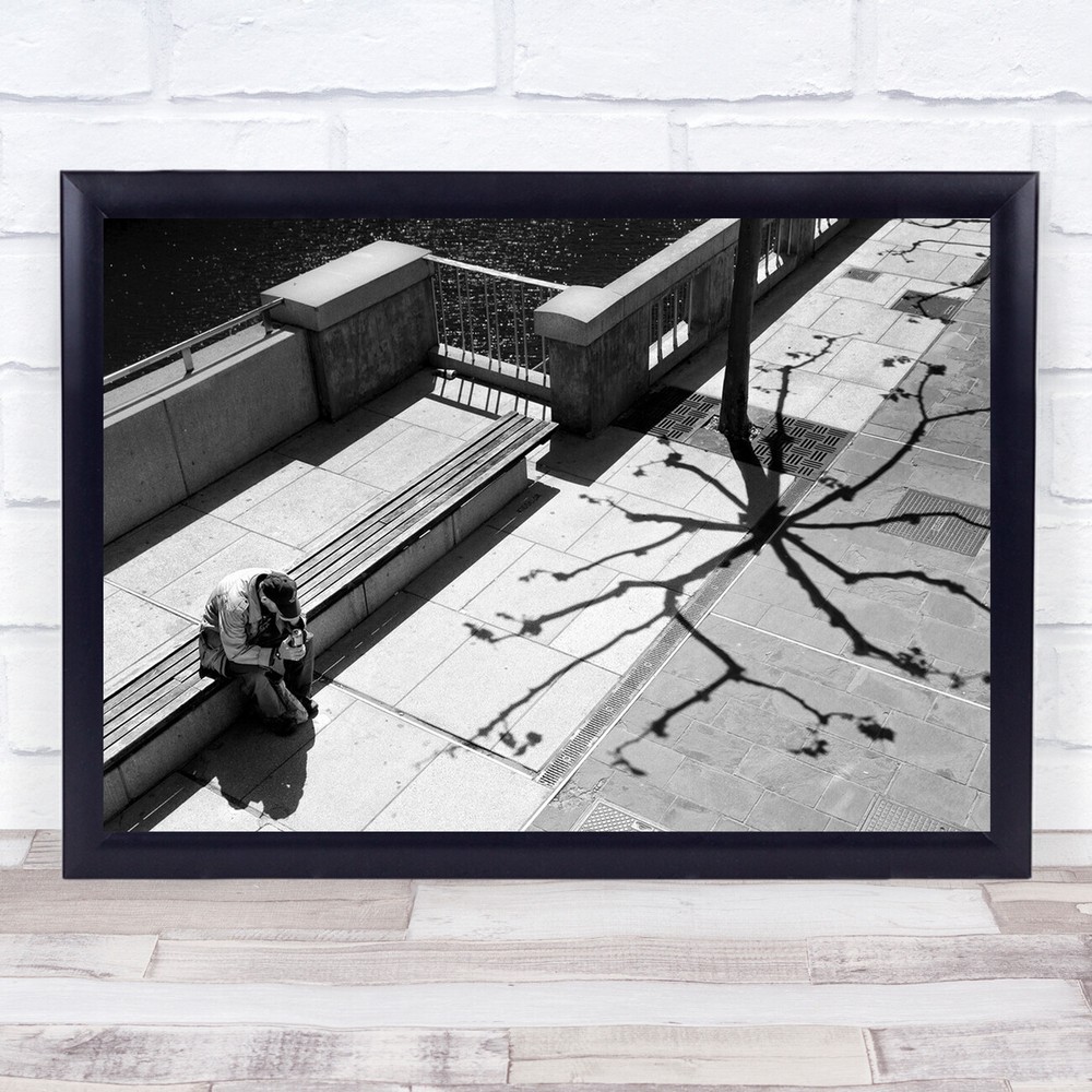 Shadow Street Bench Person Sitting Tree Sidewalk Pavement Wall Art Print