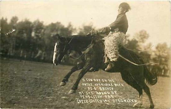 OR, Pendleton, Oregon, Cowboy on Bronco at Roundup, RPPC