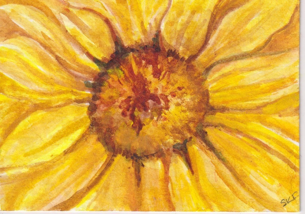 Sunflower ACEO Original Watercolor Painting by Sharon Foster  Mini Art OOAK