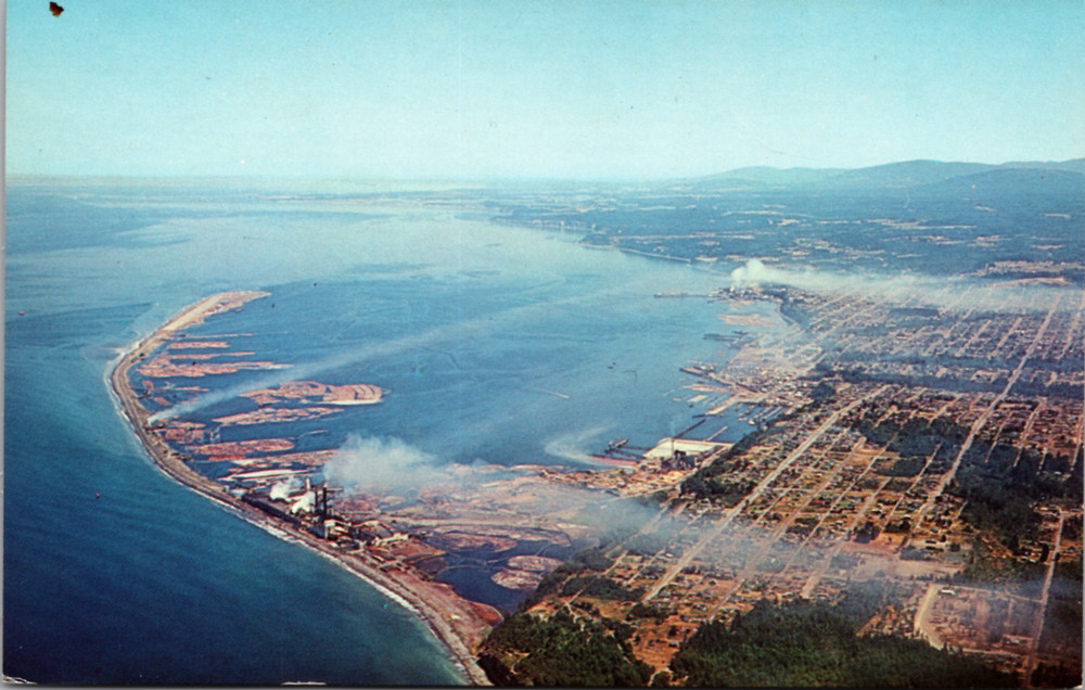 Aerial View Of Port Angeles Washington Vintage Postcard