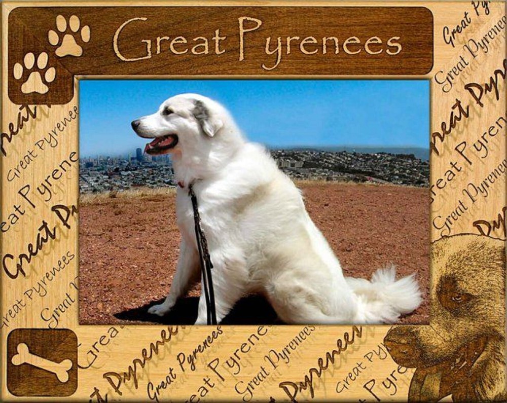 Great Pyrenees Laser Engraved Wood Picture Frame (4 x 6)