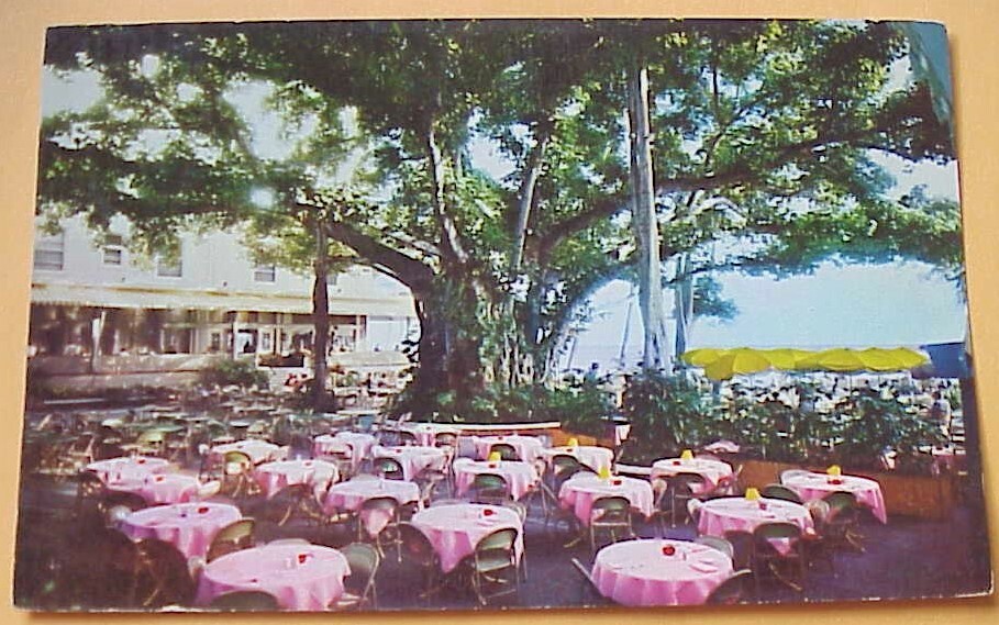 1950's Moana Hotel Famous Banyan Court Lanai Waikiki TH Hawaii