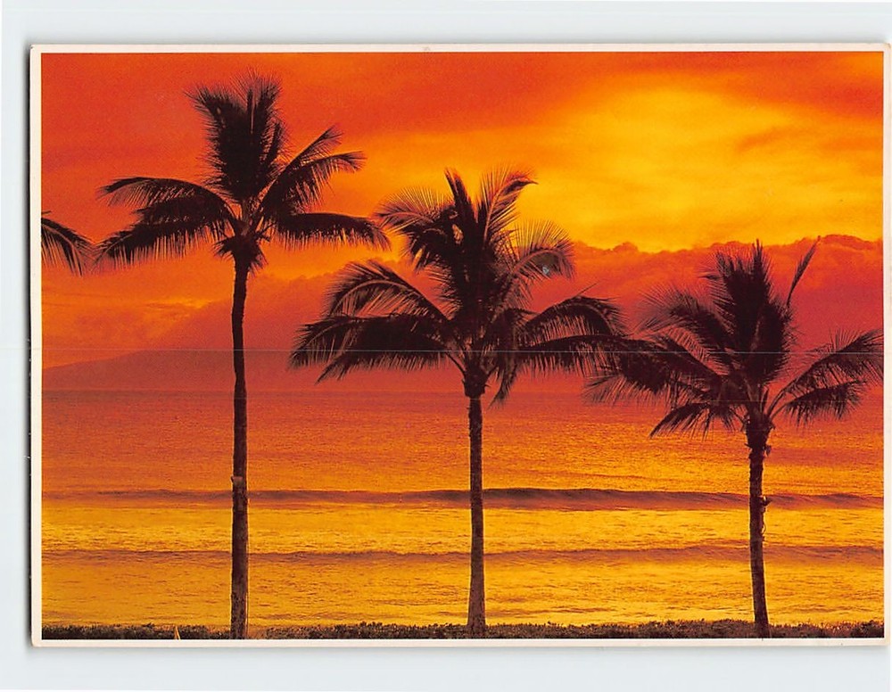 Postcard Beautiful Sunset Scene in Hawaii USA