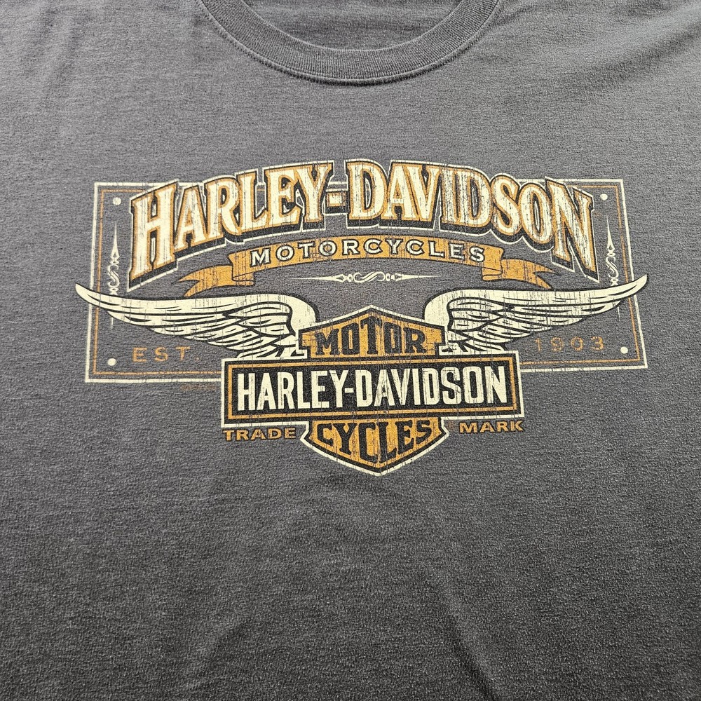 Harley-Davidson Shirt Mens XL Gray Long Sleeve Graphic Rocky Top Pigeon Forge TN