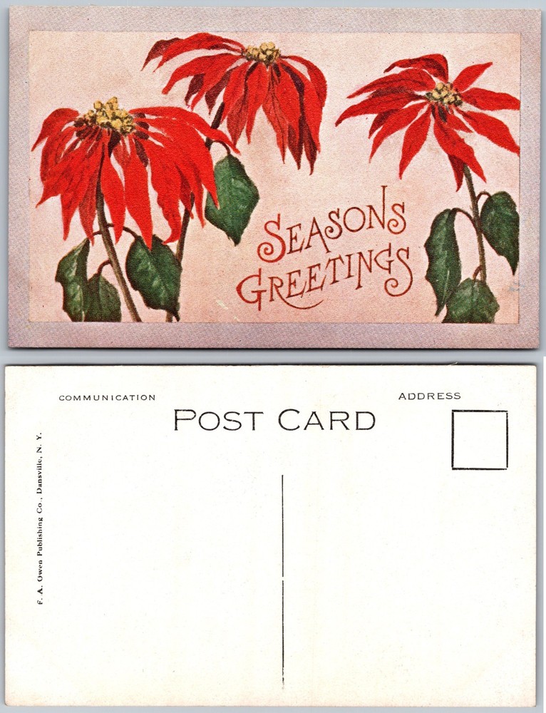 Poinsettia Seasons Greetings Postcard