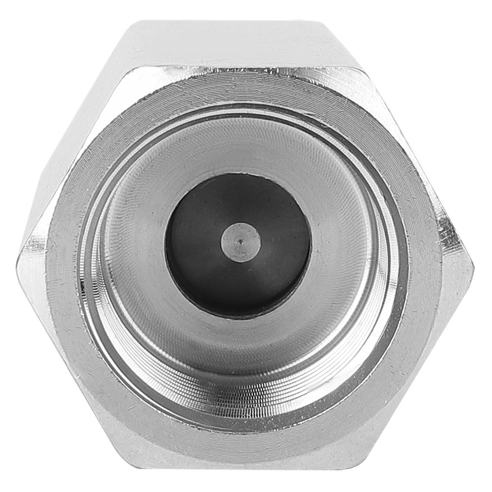 Premium Stainless Steel Hex Female Thread Air Check Valve for Water Systems ERT