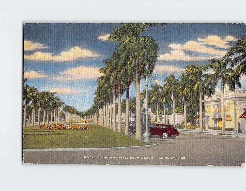 Postcard Royal Poinciana Way Palm Beach Florida USA
