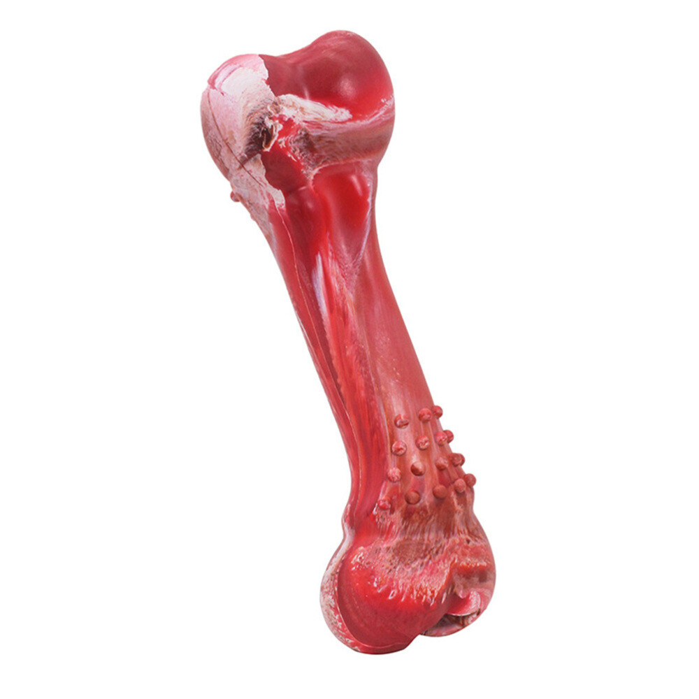 Safe Decompression Toy Dog Chewing Bones Small Puppy Teething Toys Pet