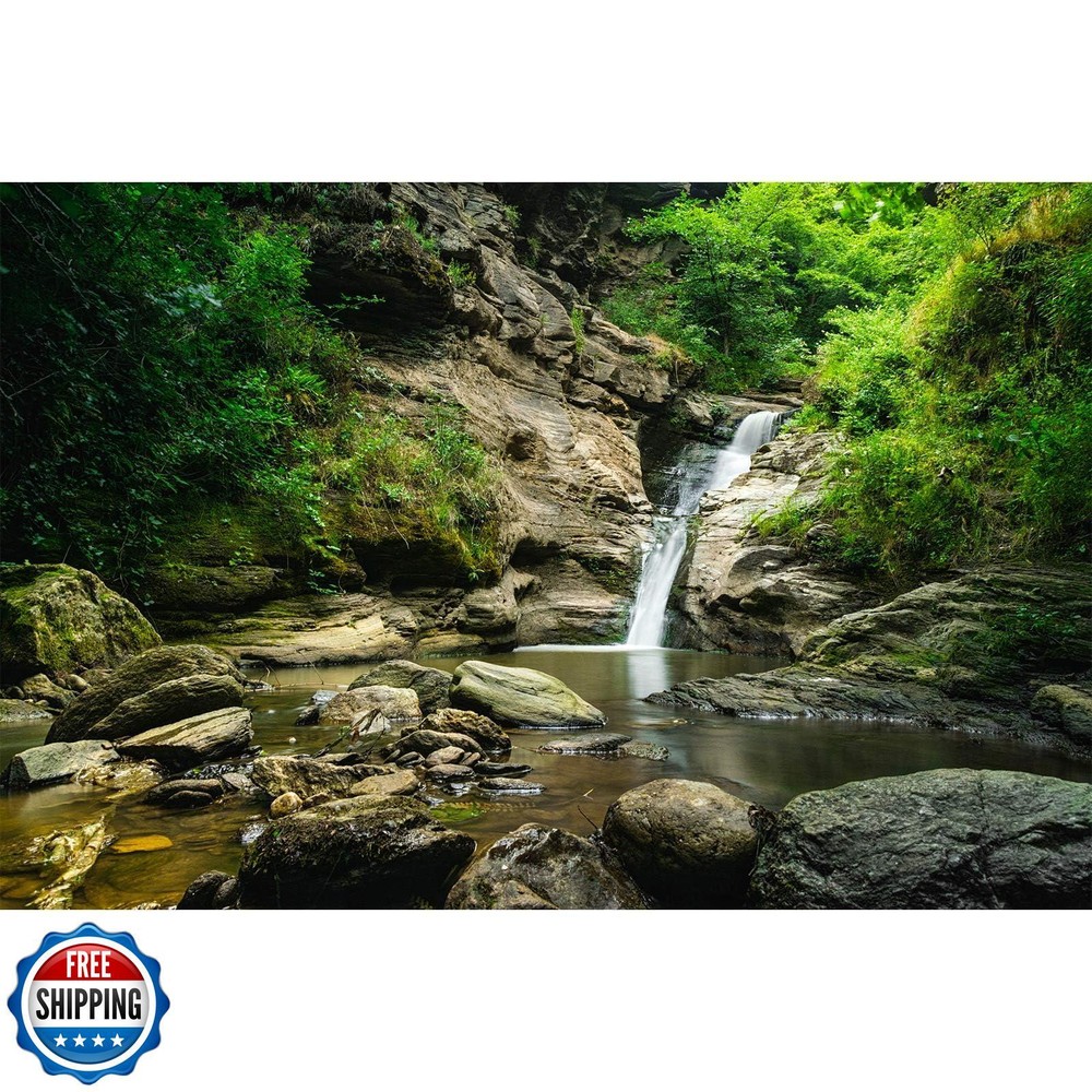 ZatiasMiller Tropical Rainforest Waterfall Terrarium Background for Aquarium