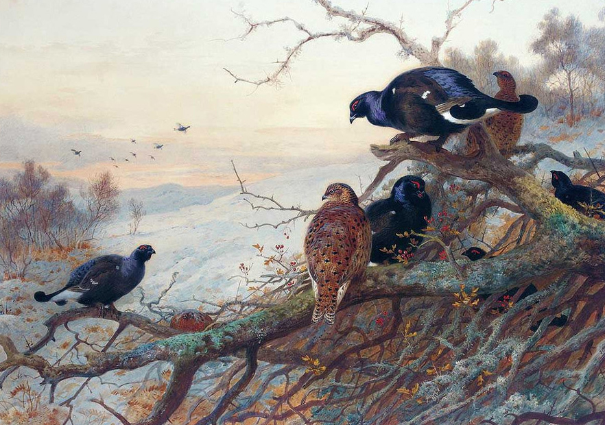Huge oil painting nice birds on branch in landscape handpainted free shipping