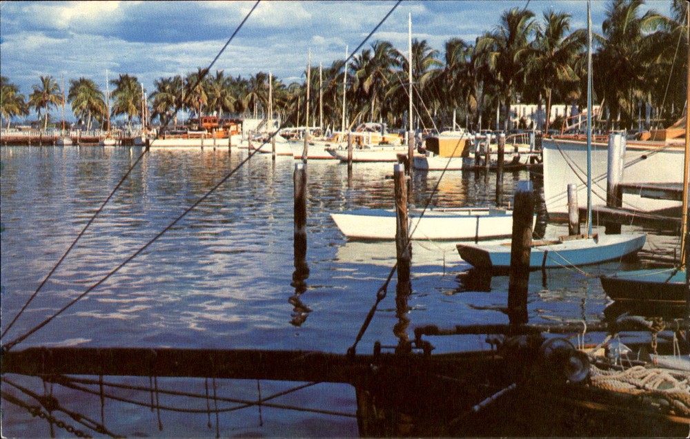 Yacht Basin ~ Fort Myers Florida FL ~ unused 1950s postcard