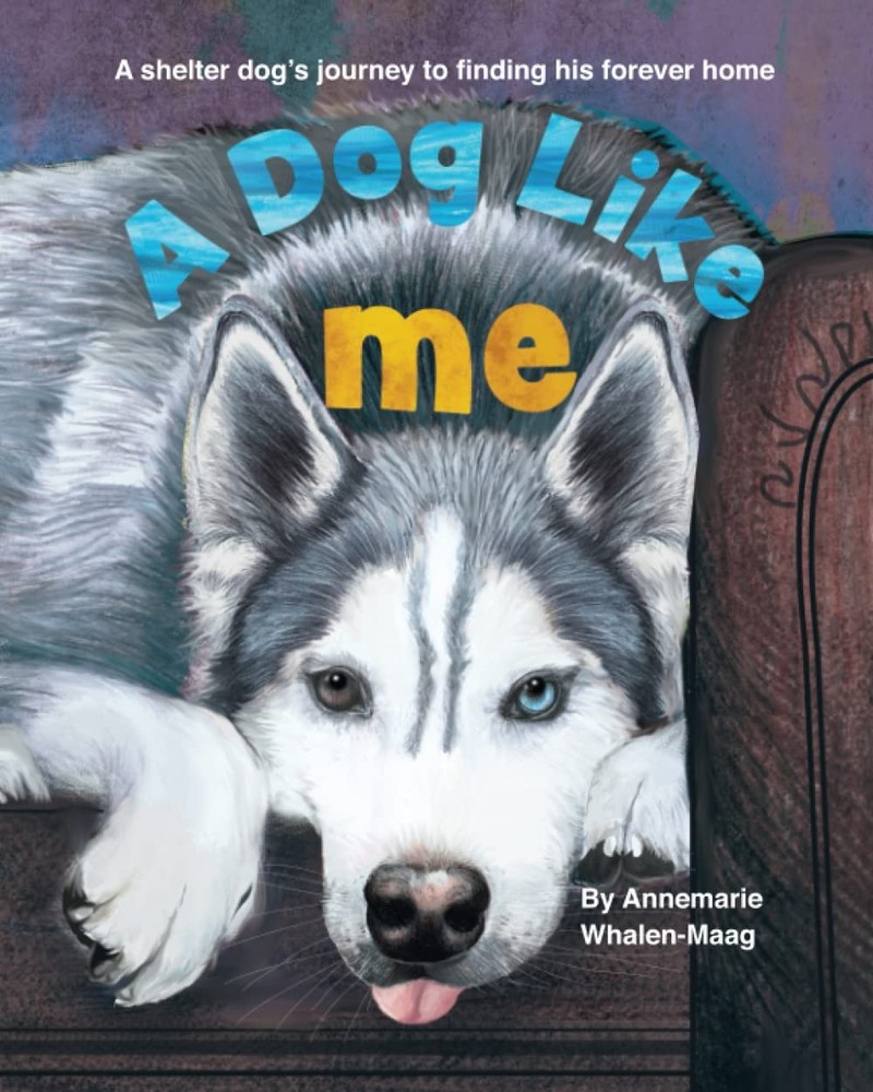 A Dog Like Me: A shelter dog's journey to finding his forever home