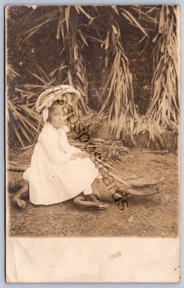 K54/ Interesting RPPC Postcard Americana c1910 Cute Girl Riding Alligator 349