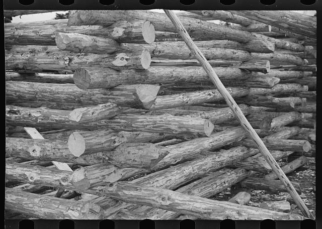 Photo:1930s Log Pile Timber Lumber Stack Sawmill