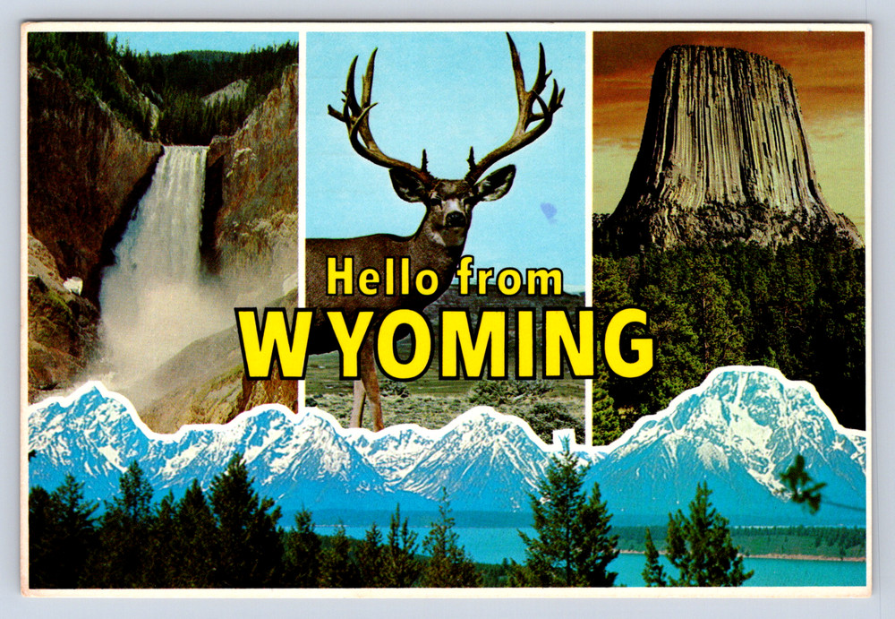 Vintage Postcard Wonderful Wyoming Yellowstone Grand Teton National Park