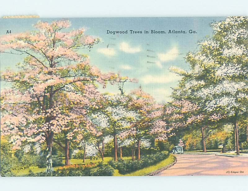 Linen COUNTRY ROAD Atlanta Georgia GA m/09 AD6825