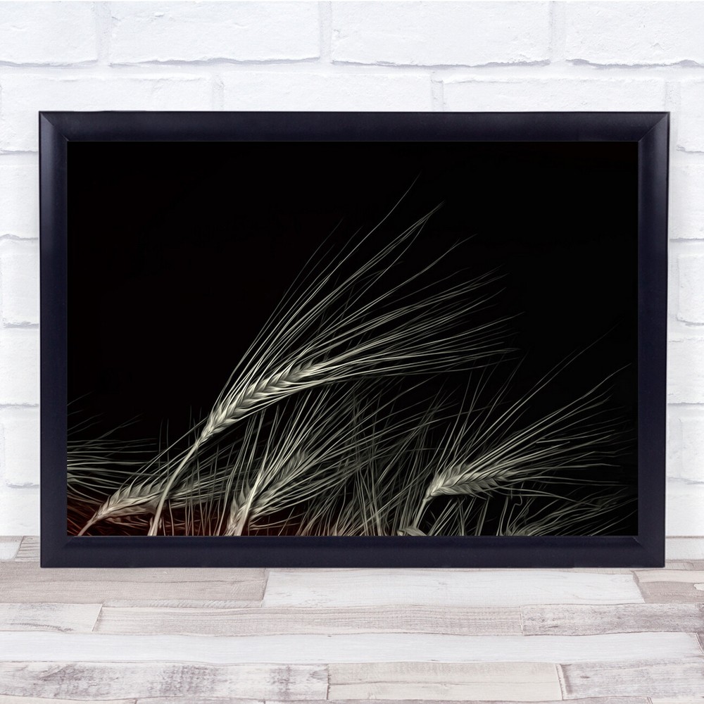 Grain Wheat Bread Plant Grass Agriculture Wall Art Print