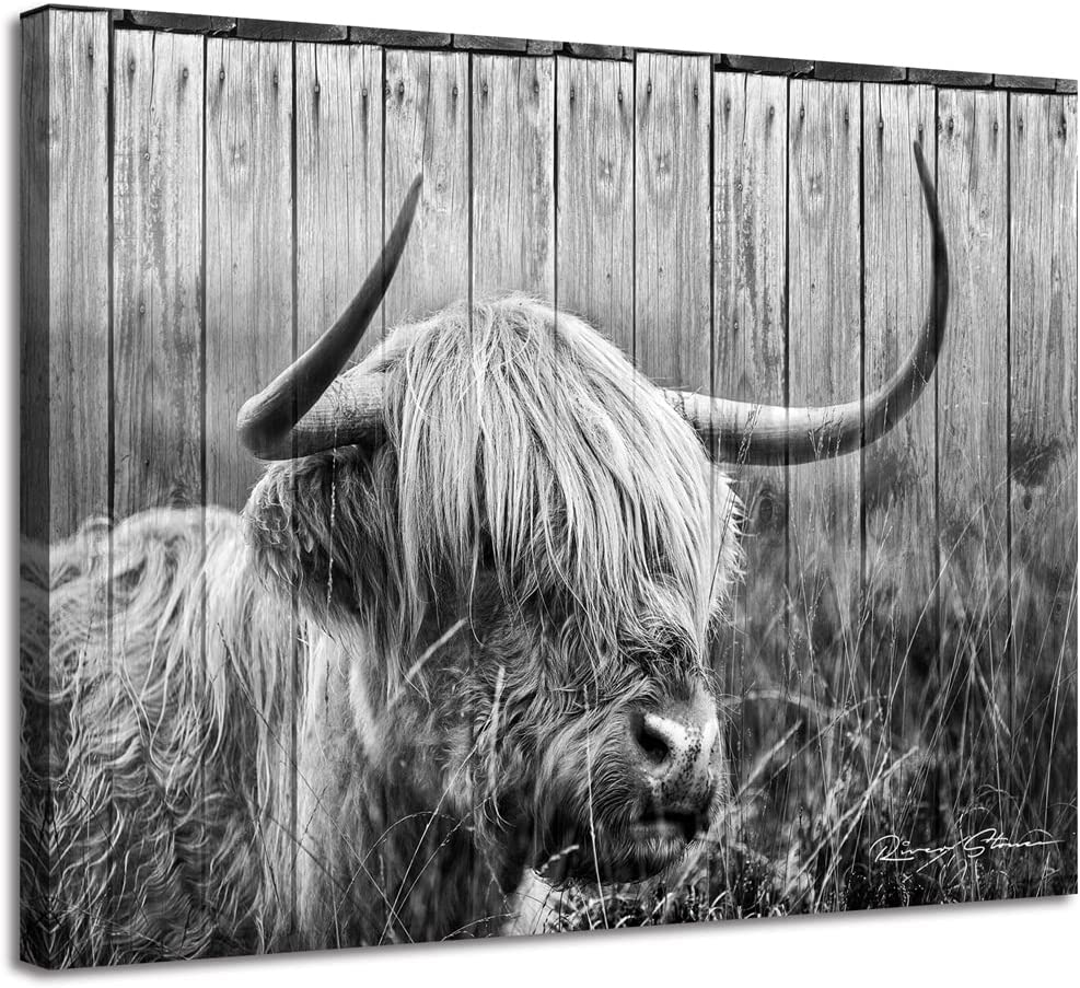 Highland Cow Canvas Wall Art, Black and White Highlander Cow Rustic Animal