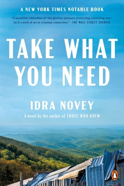 Take What You Need, Paperback by Novey, Idra, Brand New, Free shipping in the US