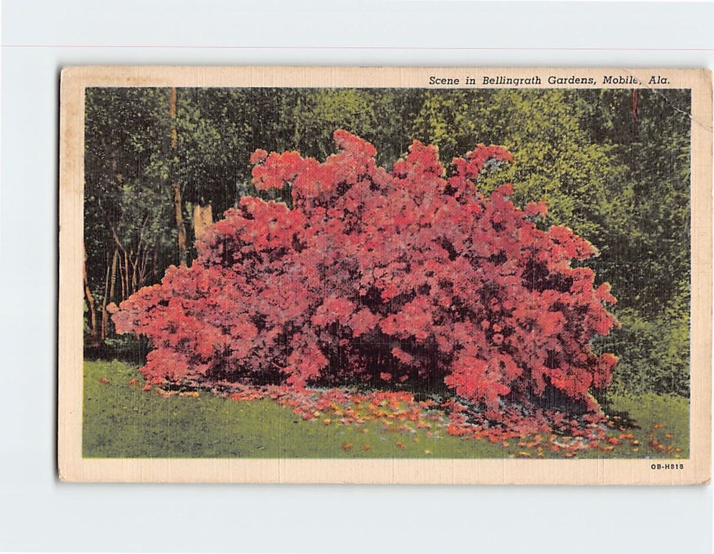 Postcard Scene in Bellingrath Gardens Mobile Alabama USA