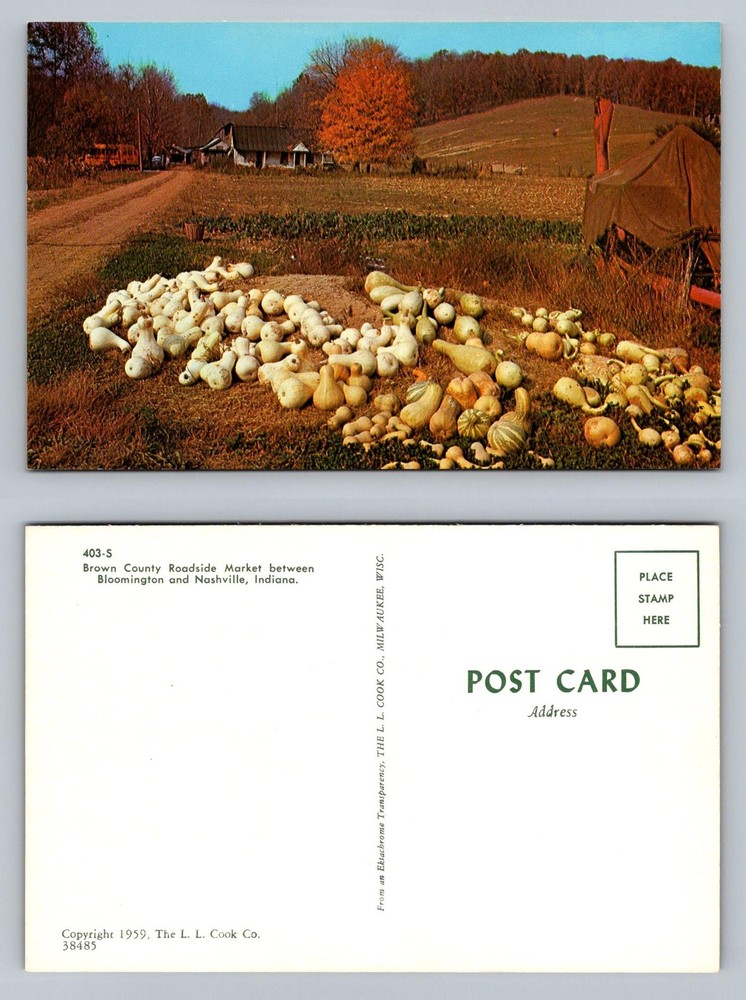 Brown County, IN-Indiana, Roadside Market Squash Harvest Scene Vintage Postcard