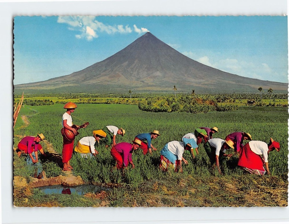 Postcard Rice Planting Dance Mayon Volcano Albay Philippines