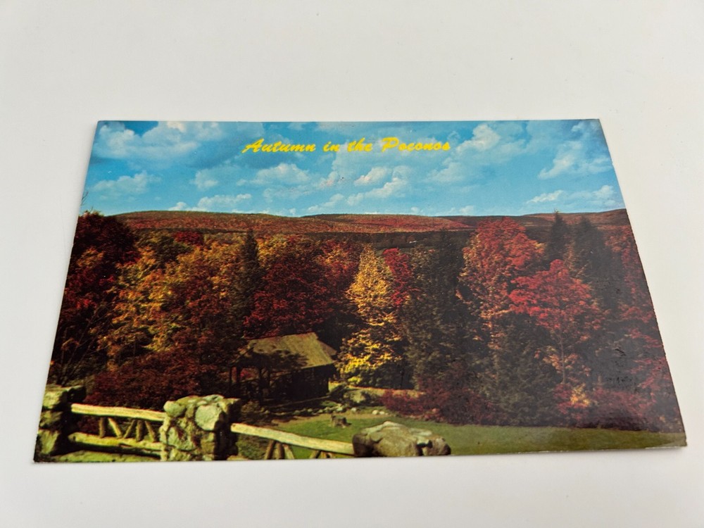 Autumn in the Poconos Pennsylvania Pocono Mountains Postcard