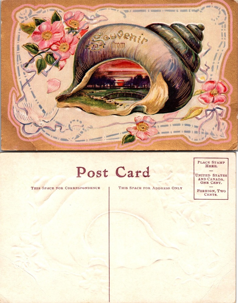 Souvenir from Rochester Minnesota MN Postcard