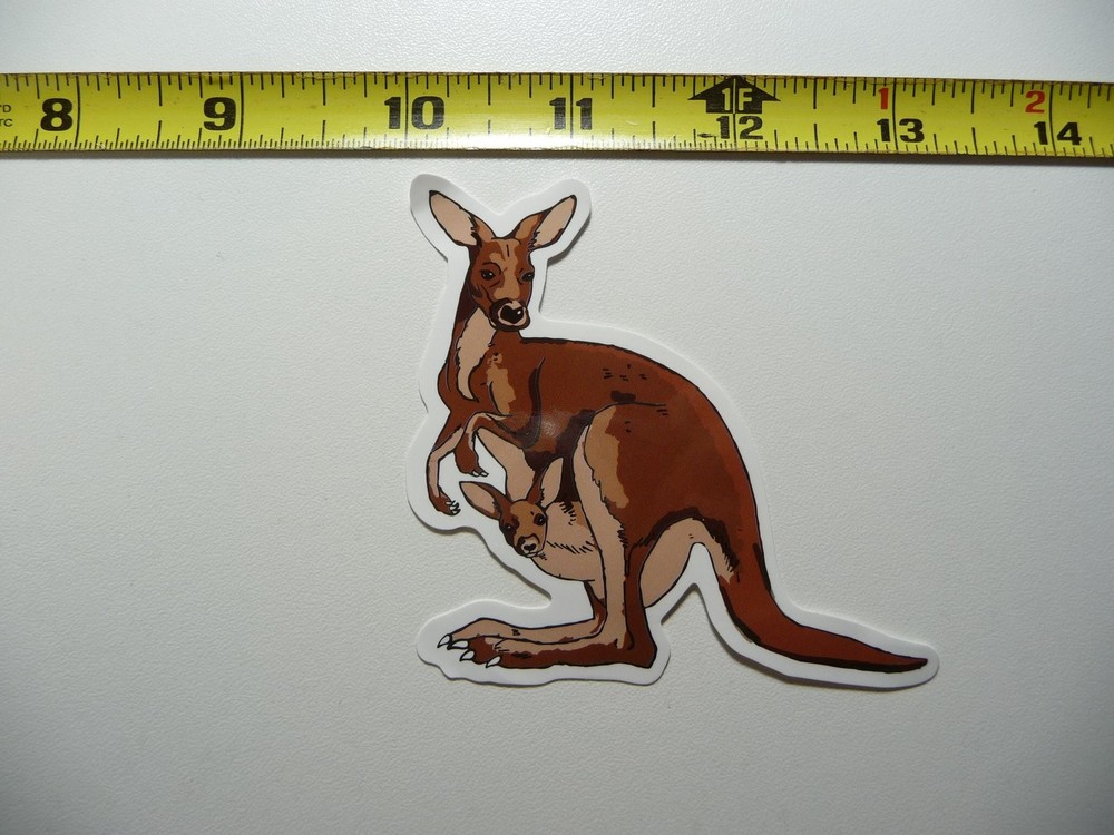 Adorable Kangaroo Joey Zoo Animal Decal Sticker Fun Wild