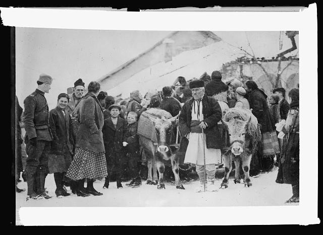 Photo:Pirot District Balkans 1920 American Red Cross Ox Cart Relief Convoy