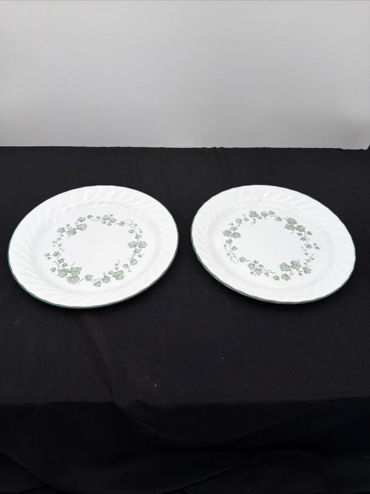 Set of 2 Vintage Corelle Callaway by Corning 9