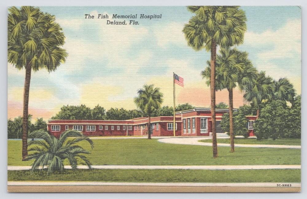 Linen~Fish Memorial Hospital Street View~Deland Florida~Art Colortone~Vintage PC