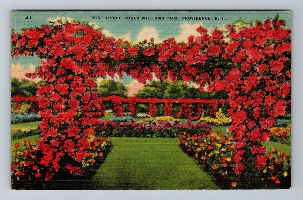 Providence RI-Rhode Island, Rode Arbor, Roger Williams Park, Vintage Postcard