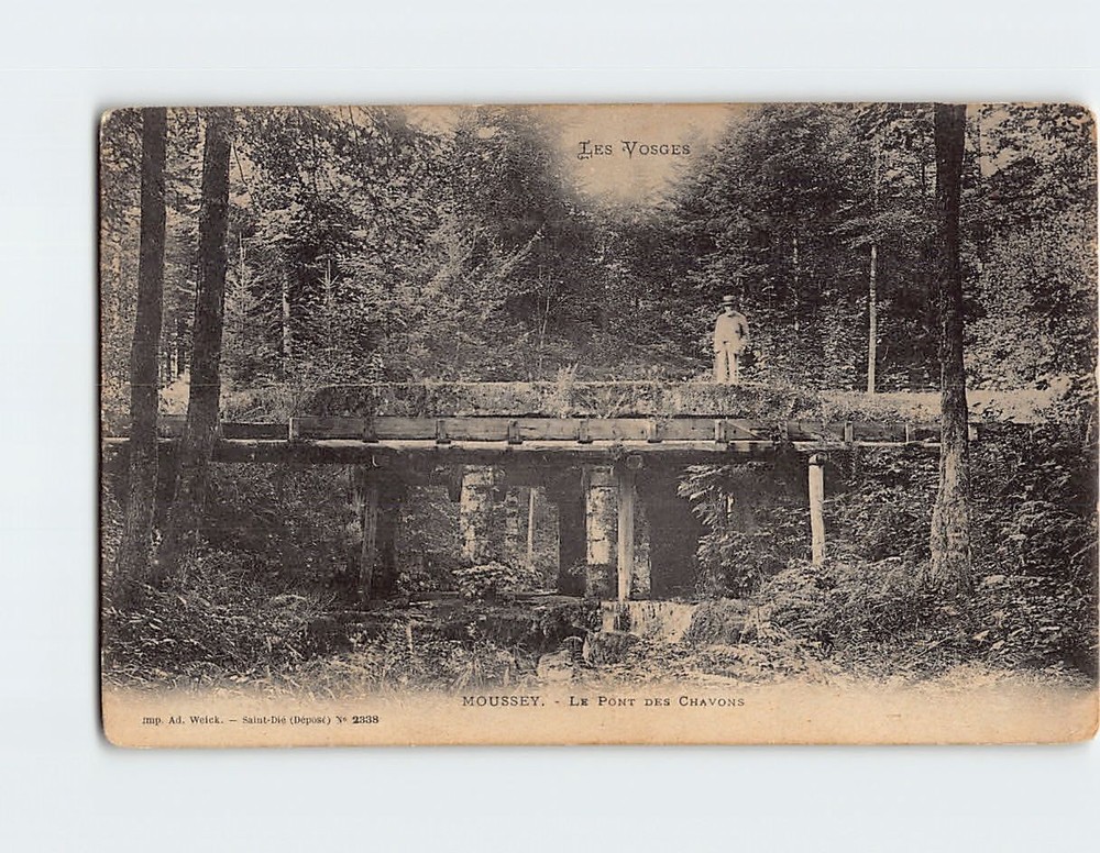 Postcard Le Pont Des Chavons Moussey France