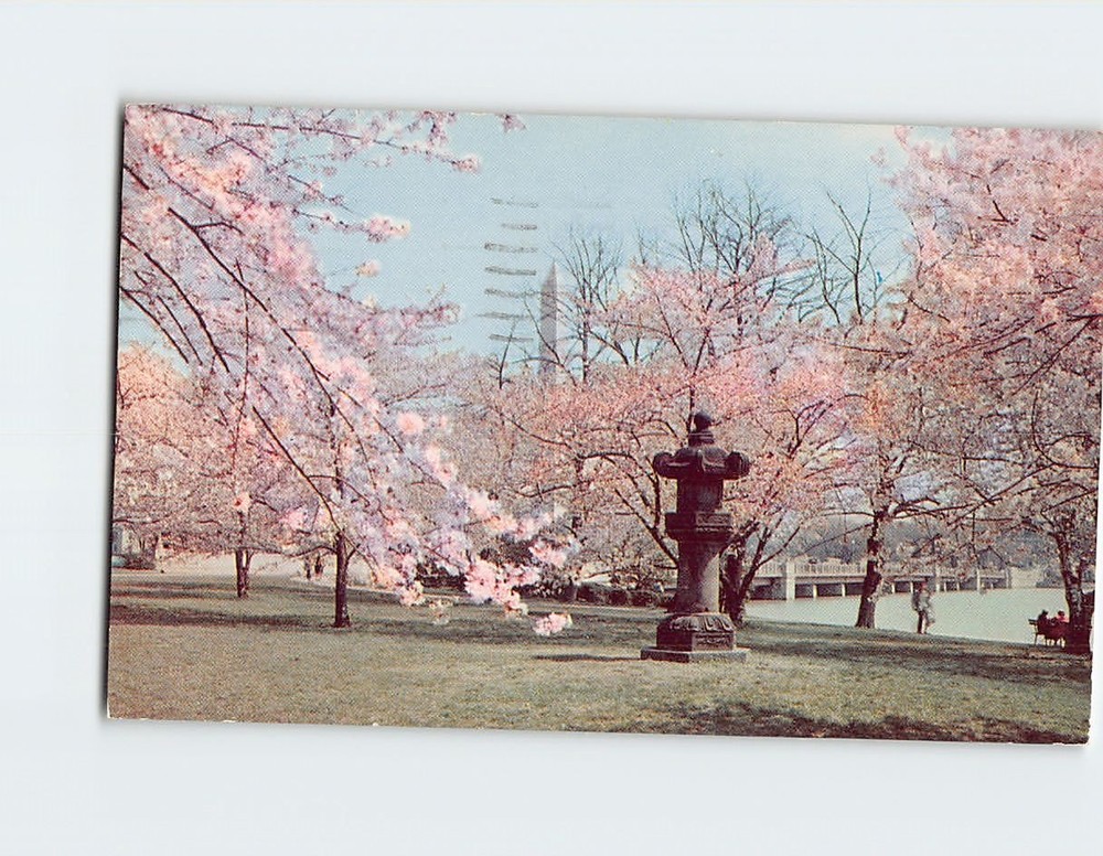 Postcard Japanese Lantern Used In Cherry Blossom Ceremonies Washington DC USA