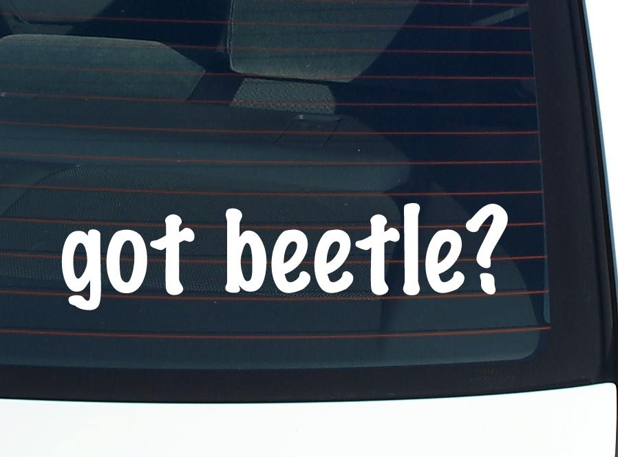 got beetles? CAR DECAL BUMPER STICKER VINYL FUNNY JOKE WINDOW