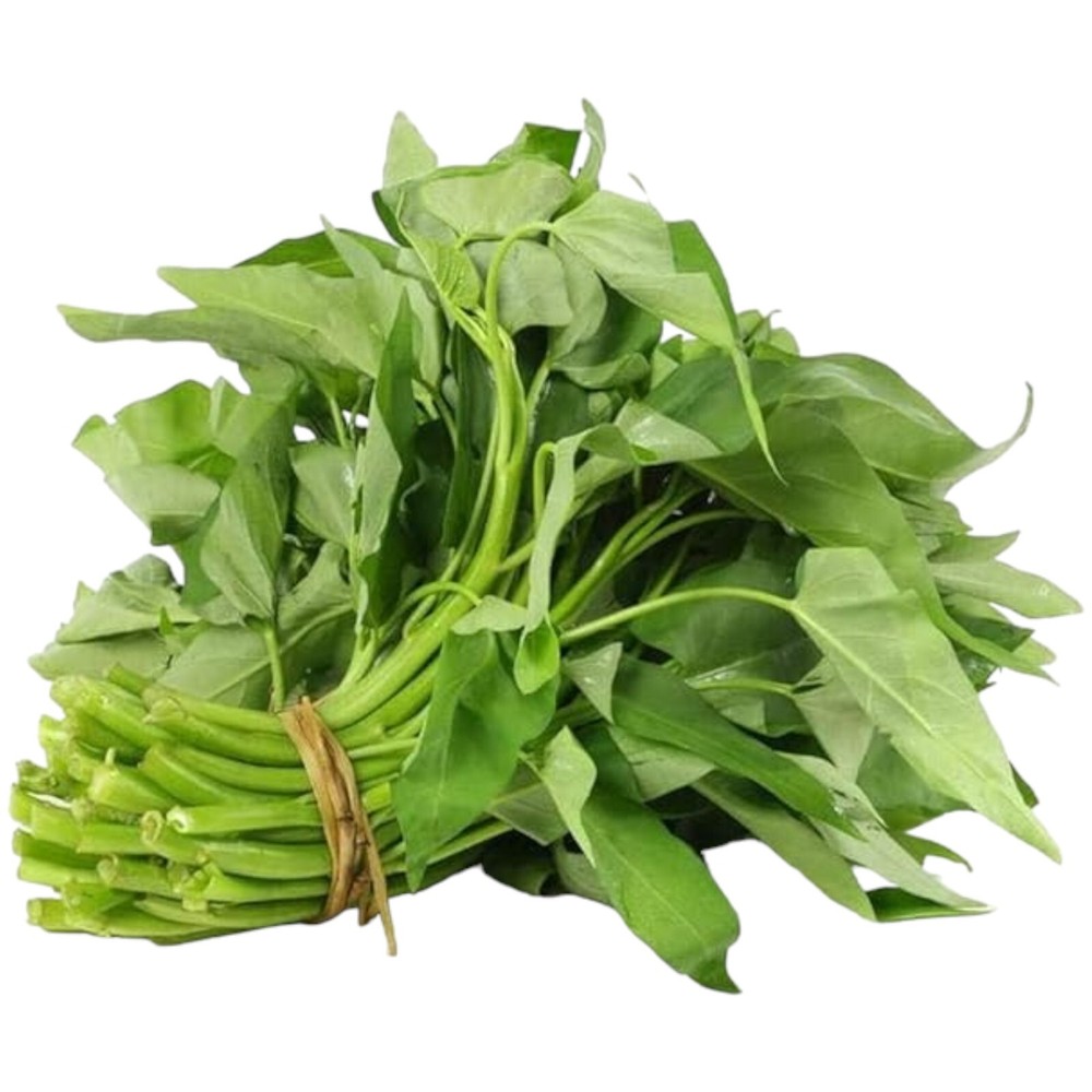 120pcs Organic Non-GMO Heirloom Water Spinach Kong Xin Cai Seeds