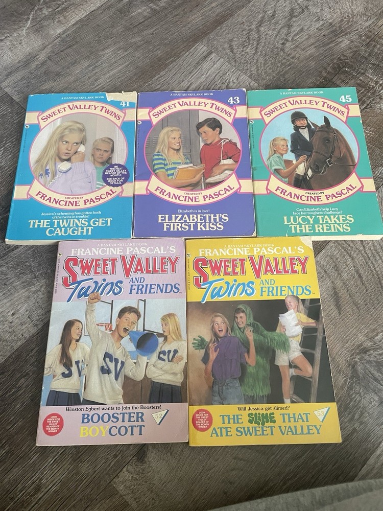 Sweet Valley Twins Lot 5