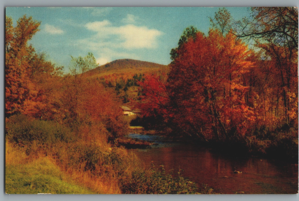 Vermont North Central Brook in Autumn Landscape Unposted Chrome Postcard