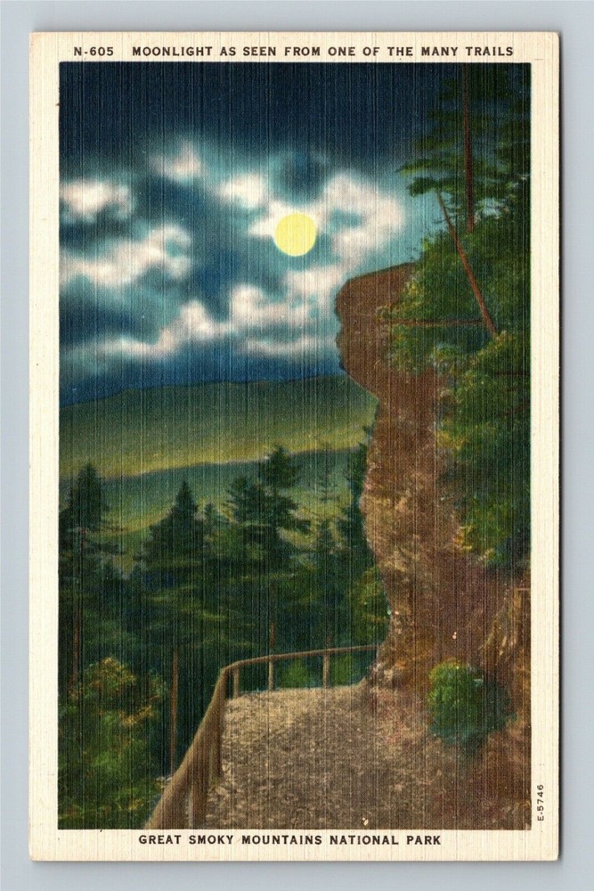 Great Smoky Mtns Nat'l Park, TN-Tennessee Moonlight From A Trail Linen Postcard