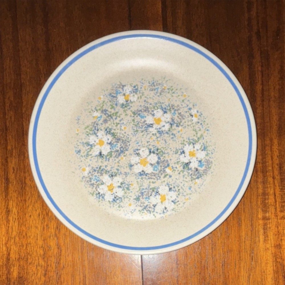 Lenox Temper-Ware Dewdrops Floral Matte Stoneware salad/dessert Plates Set of 6