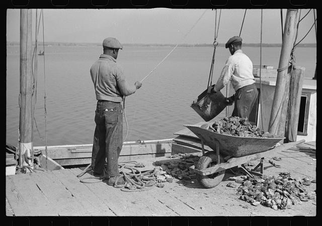 Photo:Rock Point Maryland 1941 Oyster Unloading Men on Dock Shellfish Boat