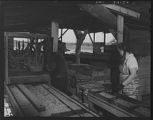 Photo:Turkey Pond New Hampshire Women Workers Saw Mill 1900s Concord
