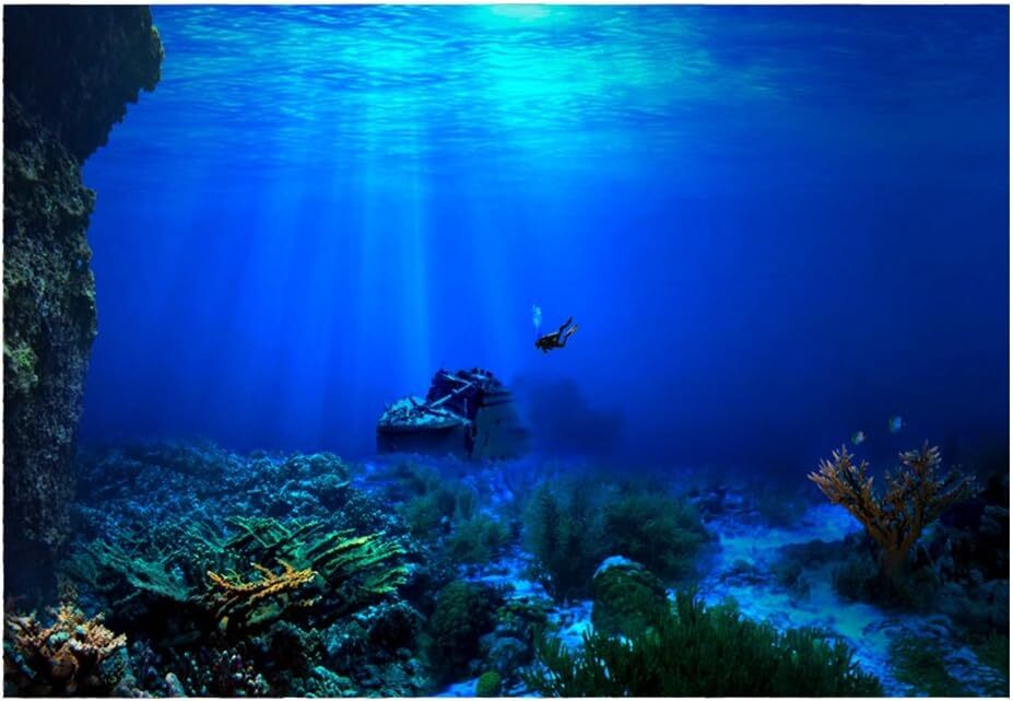 Aquarium Background Decoration Seaworld Poster Underwater Coral Decor