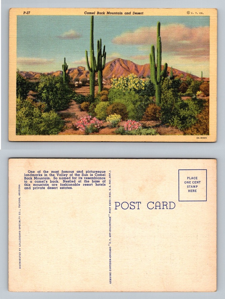 Phoenix, AZ-Arizona, Camel Back Mtn. Desert Valley Of The Sun Vintage Postcard